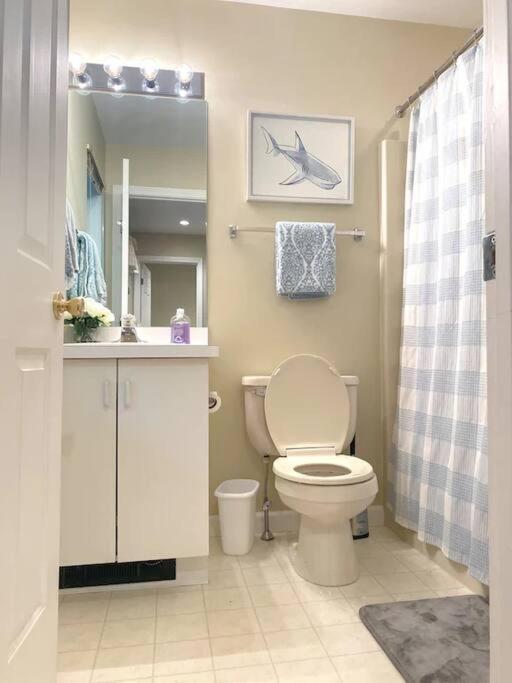 Spacious 3Br 3Ba Sleeps 8 Ski On Off Jiminy Mountain Resort هانكوك المظهر الخارجي الصورة